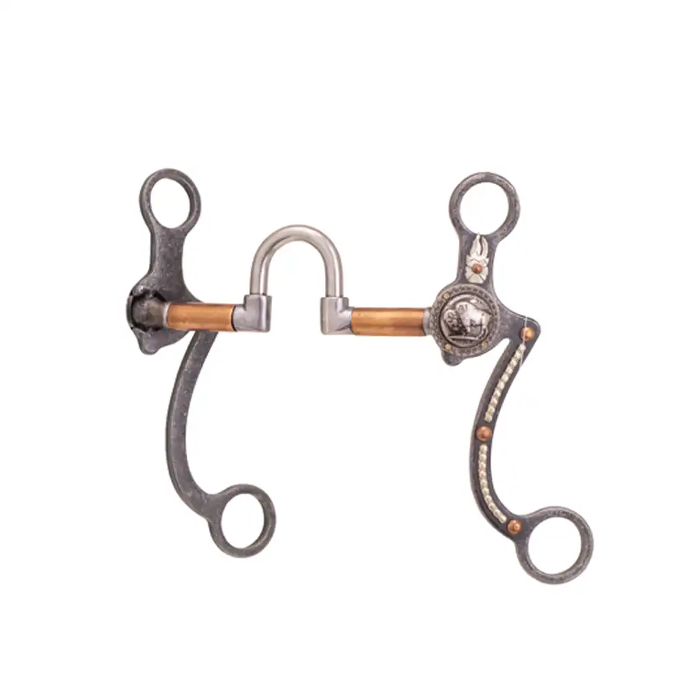 buffalo coin bit correction