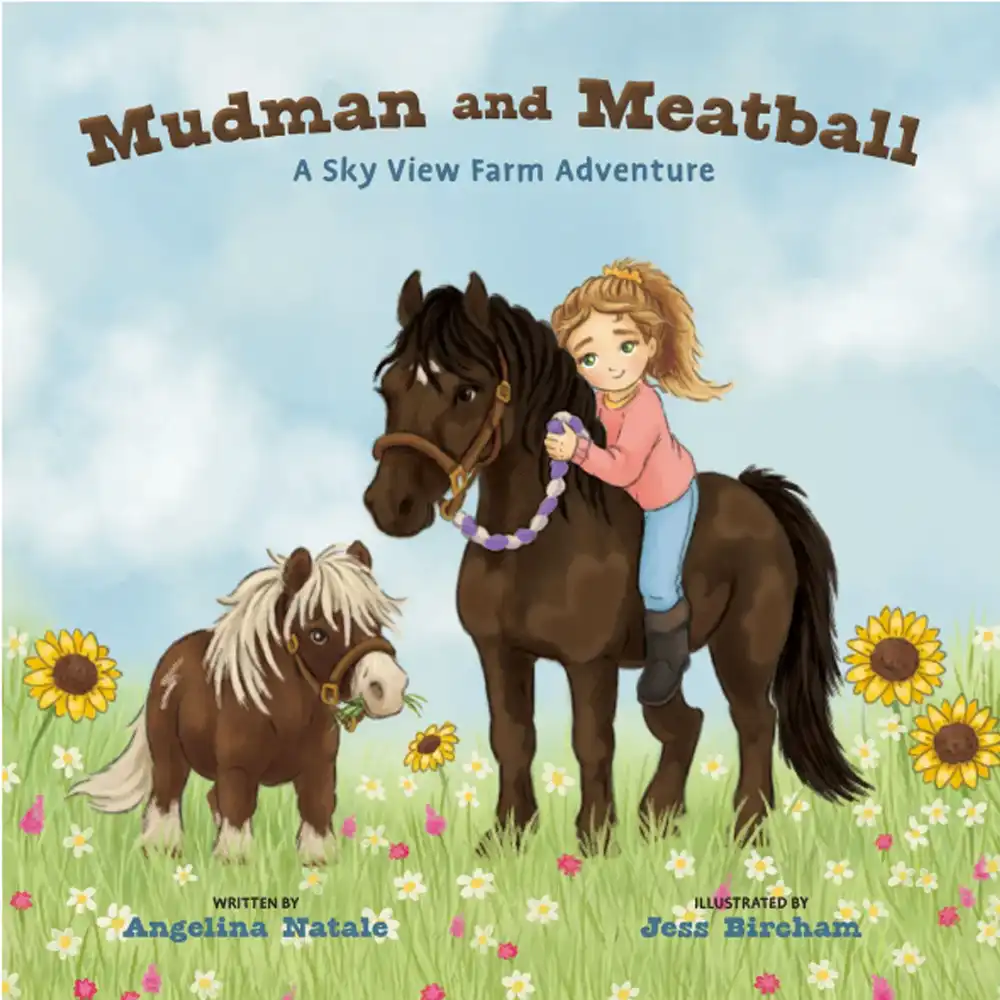 mudman and meatball book
