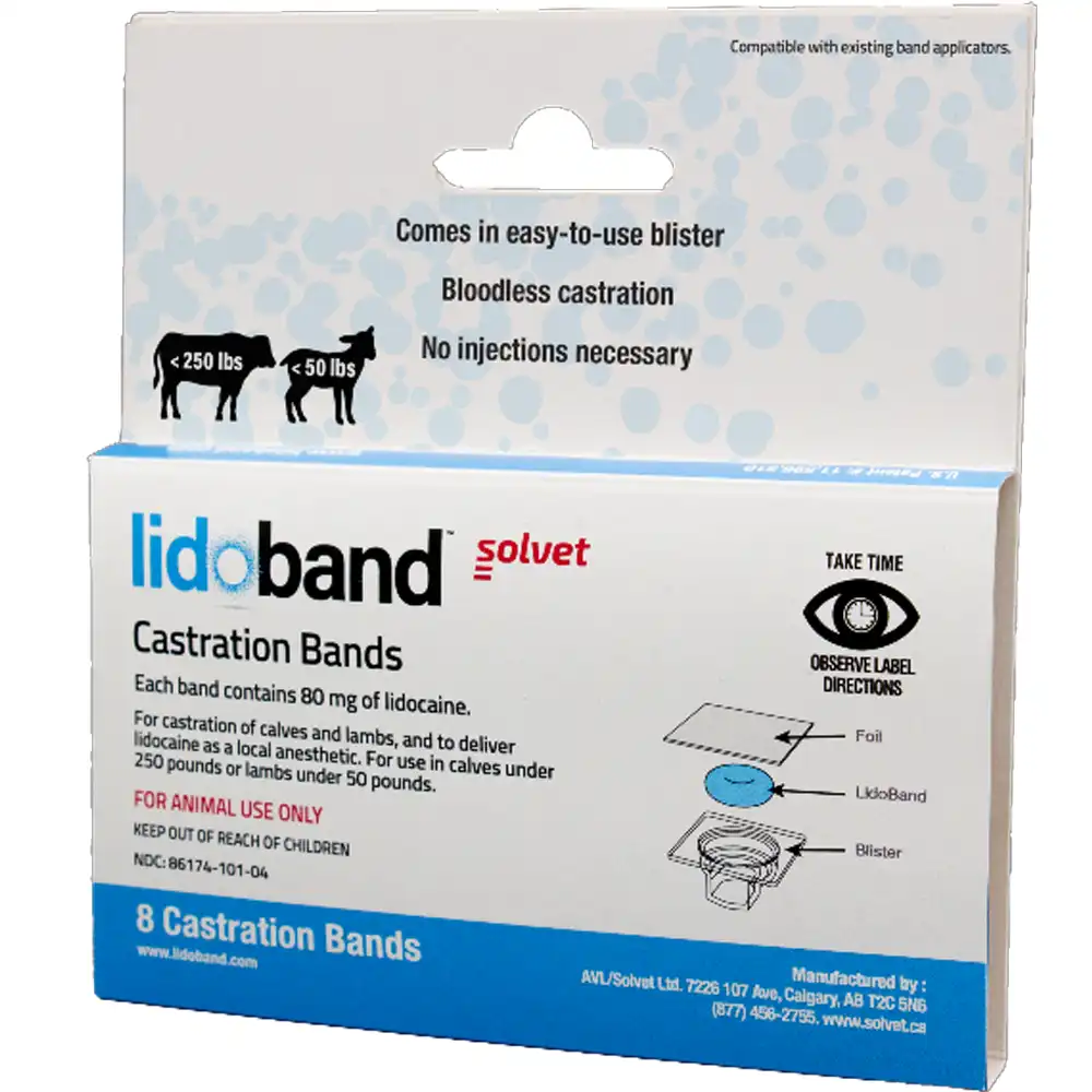 lidobands 8 count