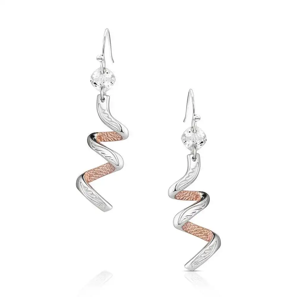 buckaroo bling earrings