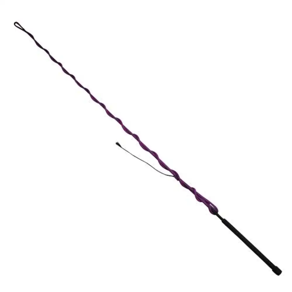 professional's choice lunge whip