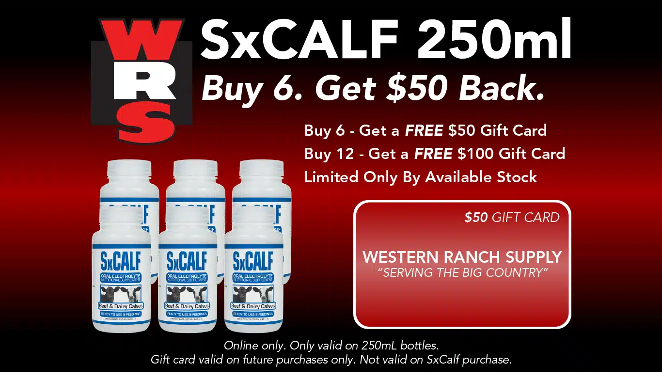 SxCalf Promo Banner