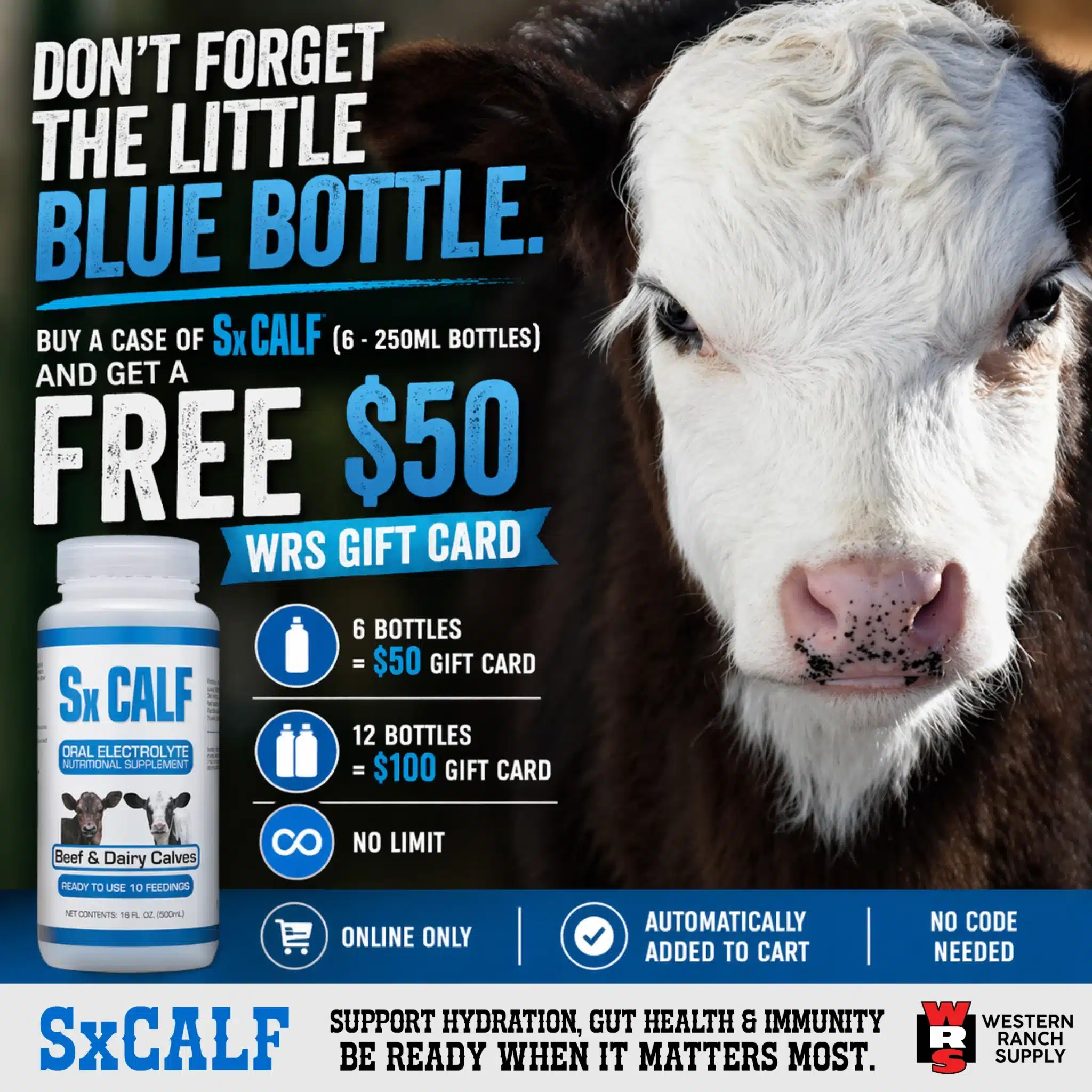 sx calf promo banner