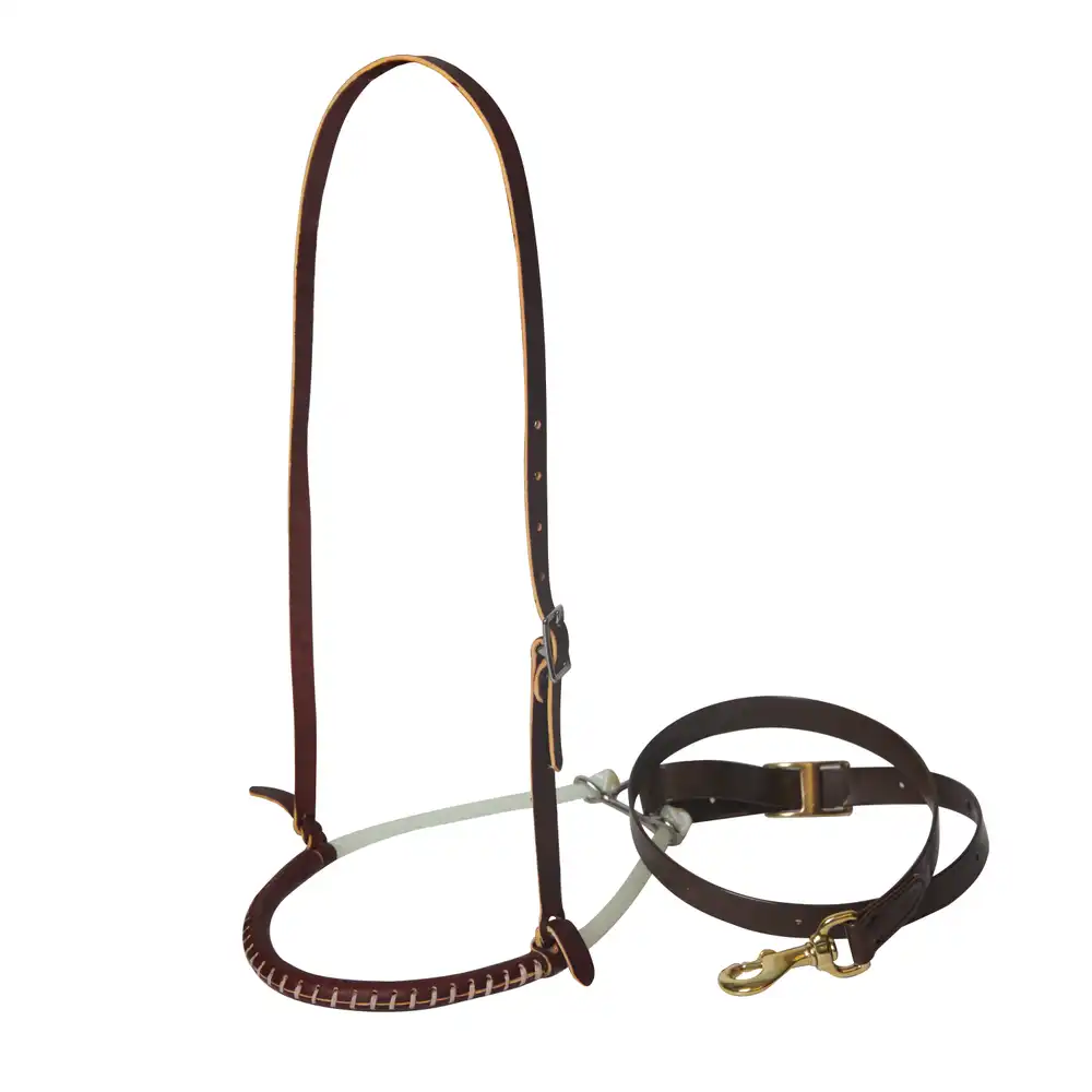Laced Rope Tiedown Set