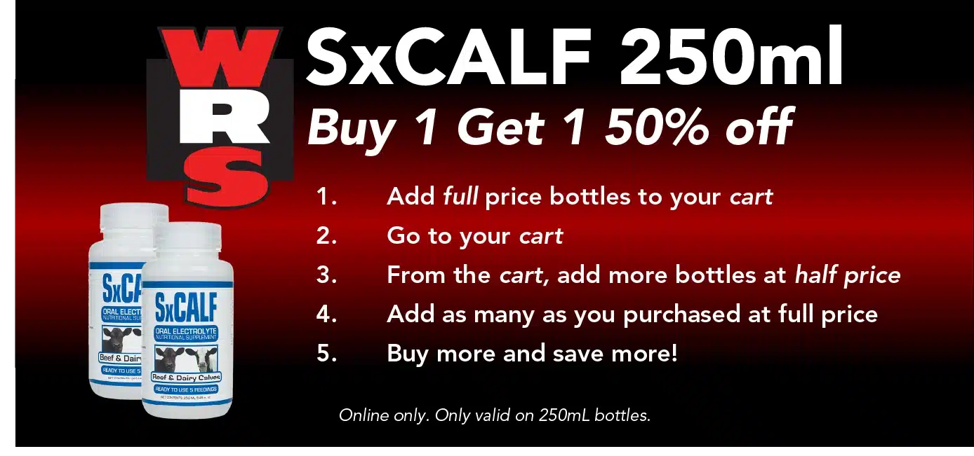 sx promo bogo