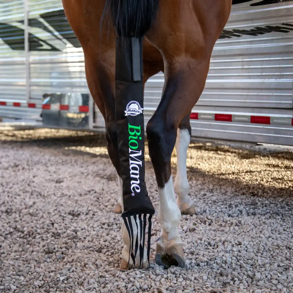 BioMane Tailbag