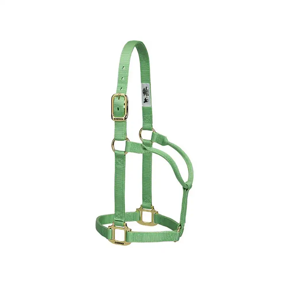 original average size non-adjustable halter - 1" - weaver - pistachio green