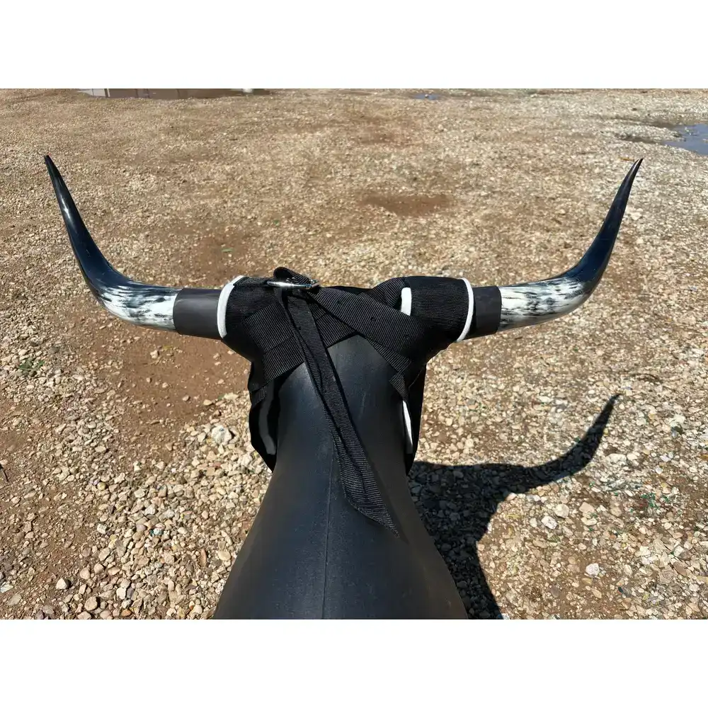 7k something dummy real super horns
