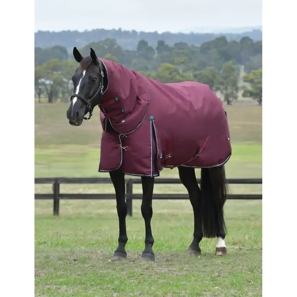 comfitec essential turnout detach-a-neck 360g - burgundy/navy