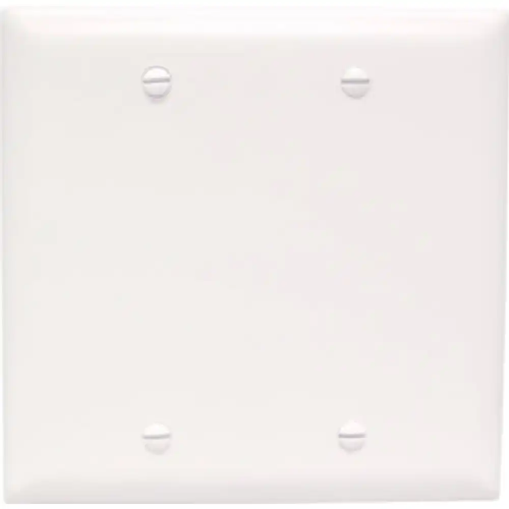 pass & seymour 2-gang blank nylon wall plate, white