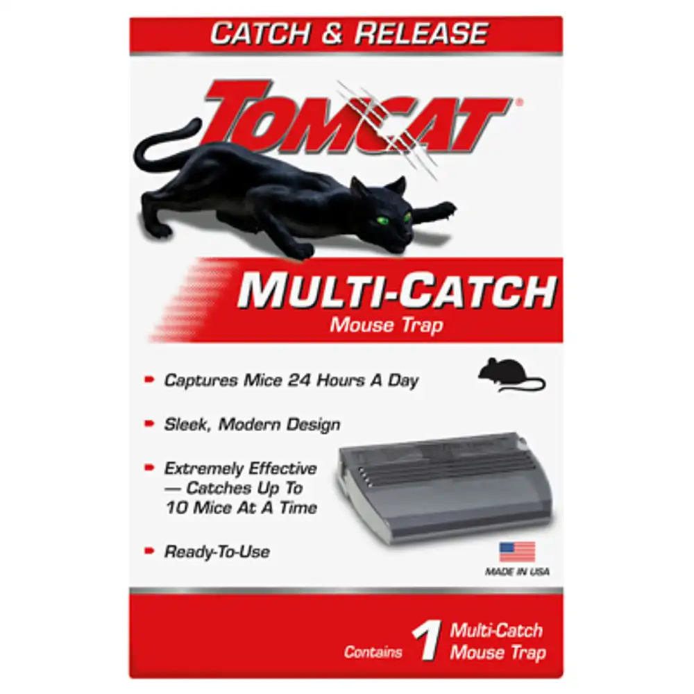 live catch mouse trap