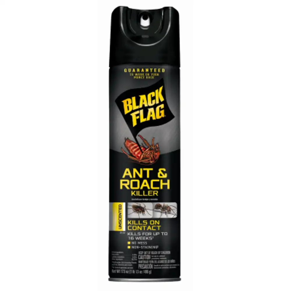 ant & roach killer, unscented, 17.5-oz. aerosol