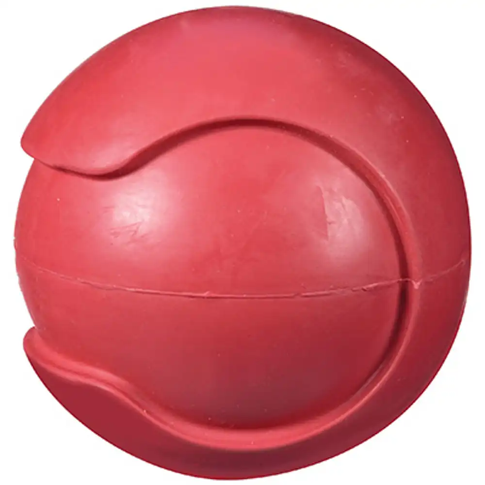 i-squeak bouncing baseball dog toy, large