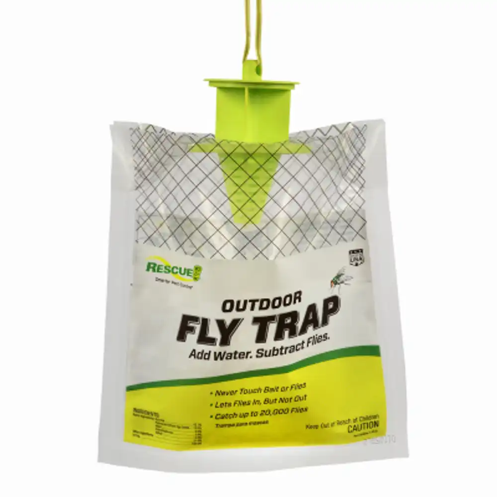 disposable fly trap