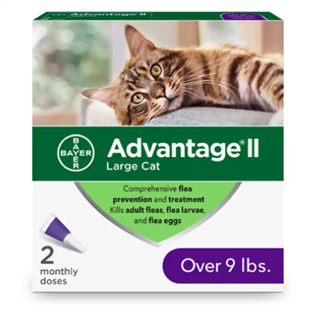 flea prevention for large cats, over 9-lbs., 2 doses