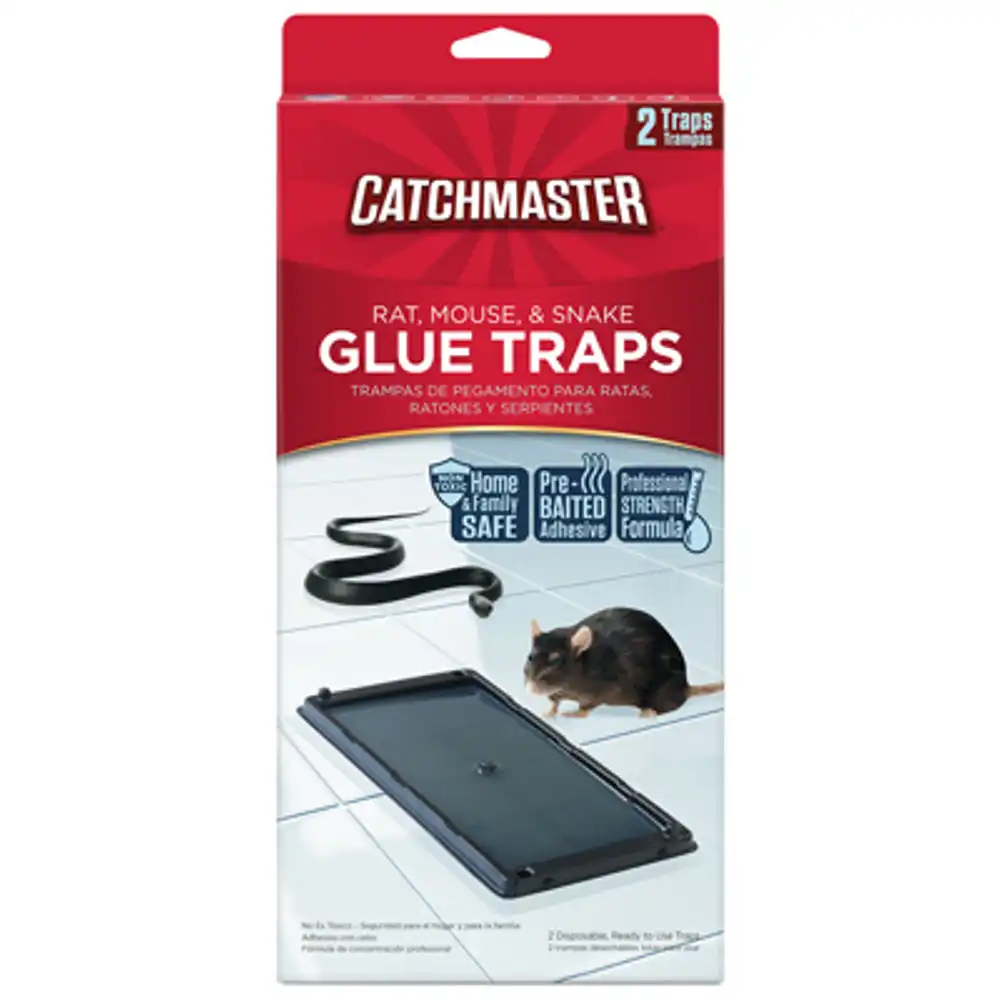 rat, mouse & snake glue traps, 2-pk.