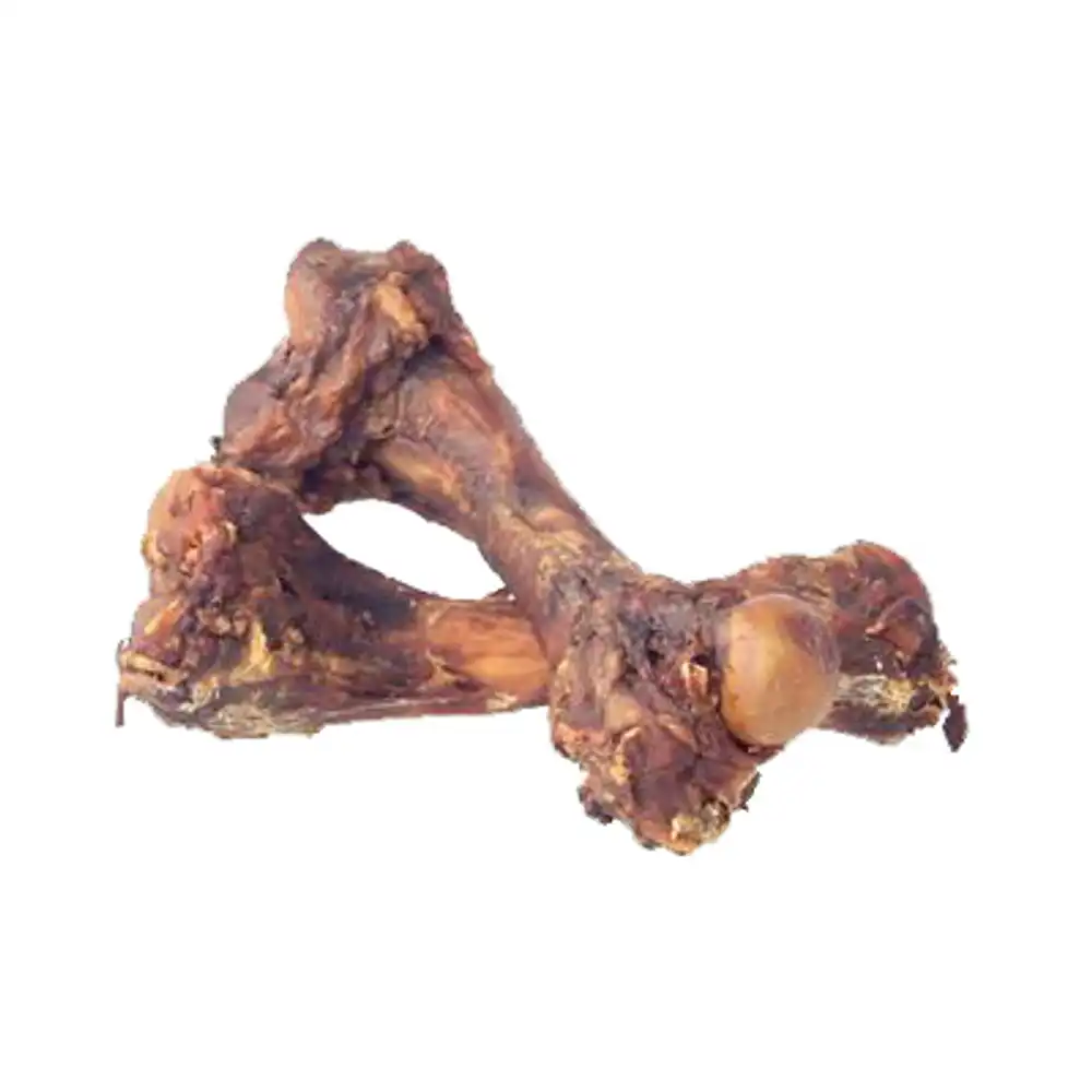 pork femur bone dog treat, 8-in.