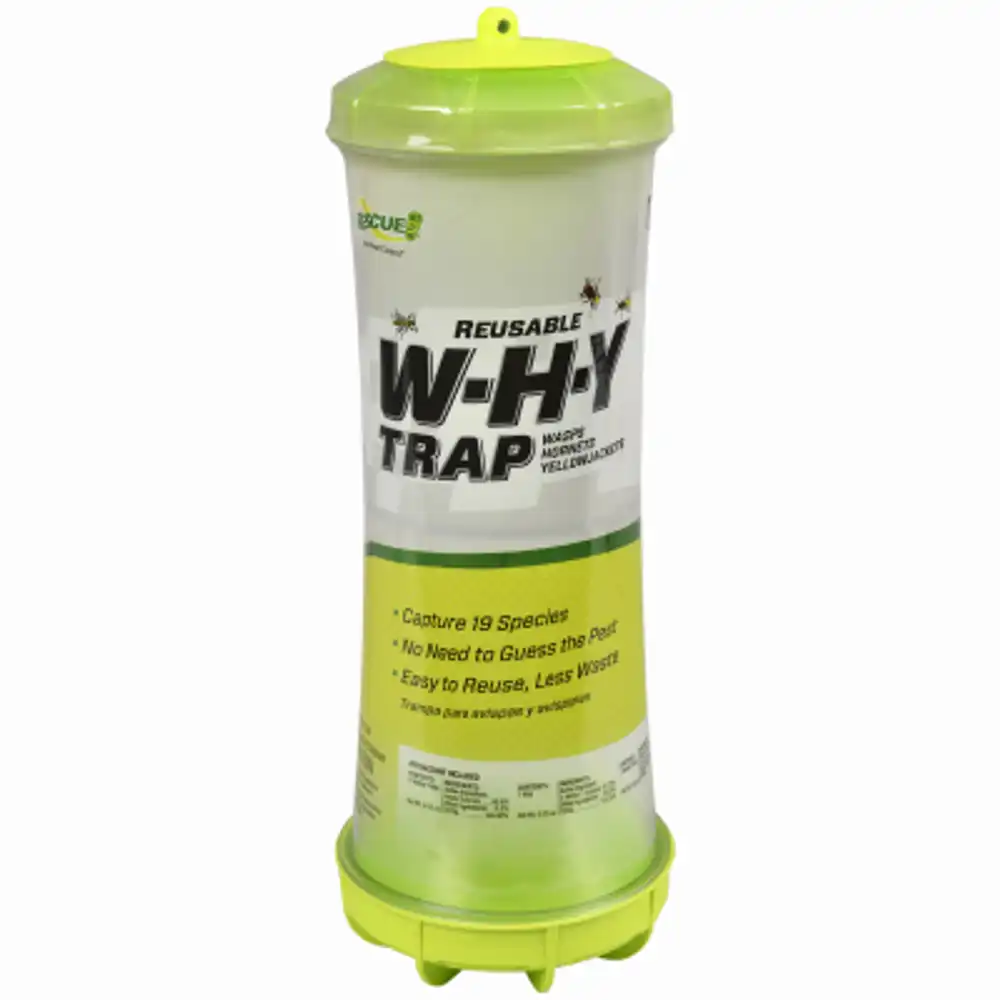 why trap for wasps, hornets, and yellowjackets