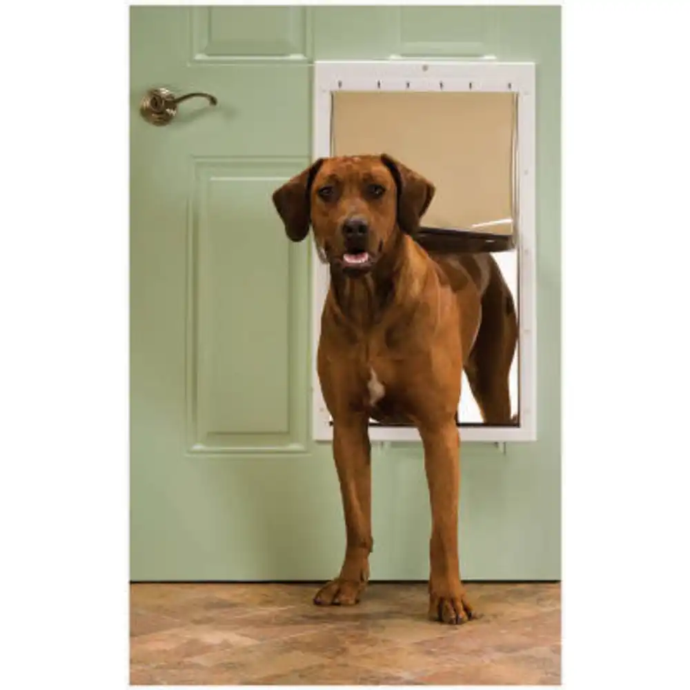 pet door, white plastic, xl