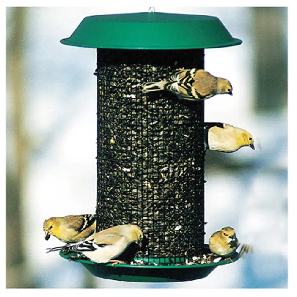 oil sunflower magnum feeder, 3-lb.
