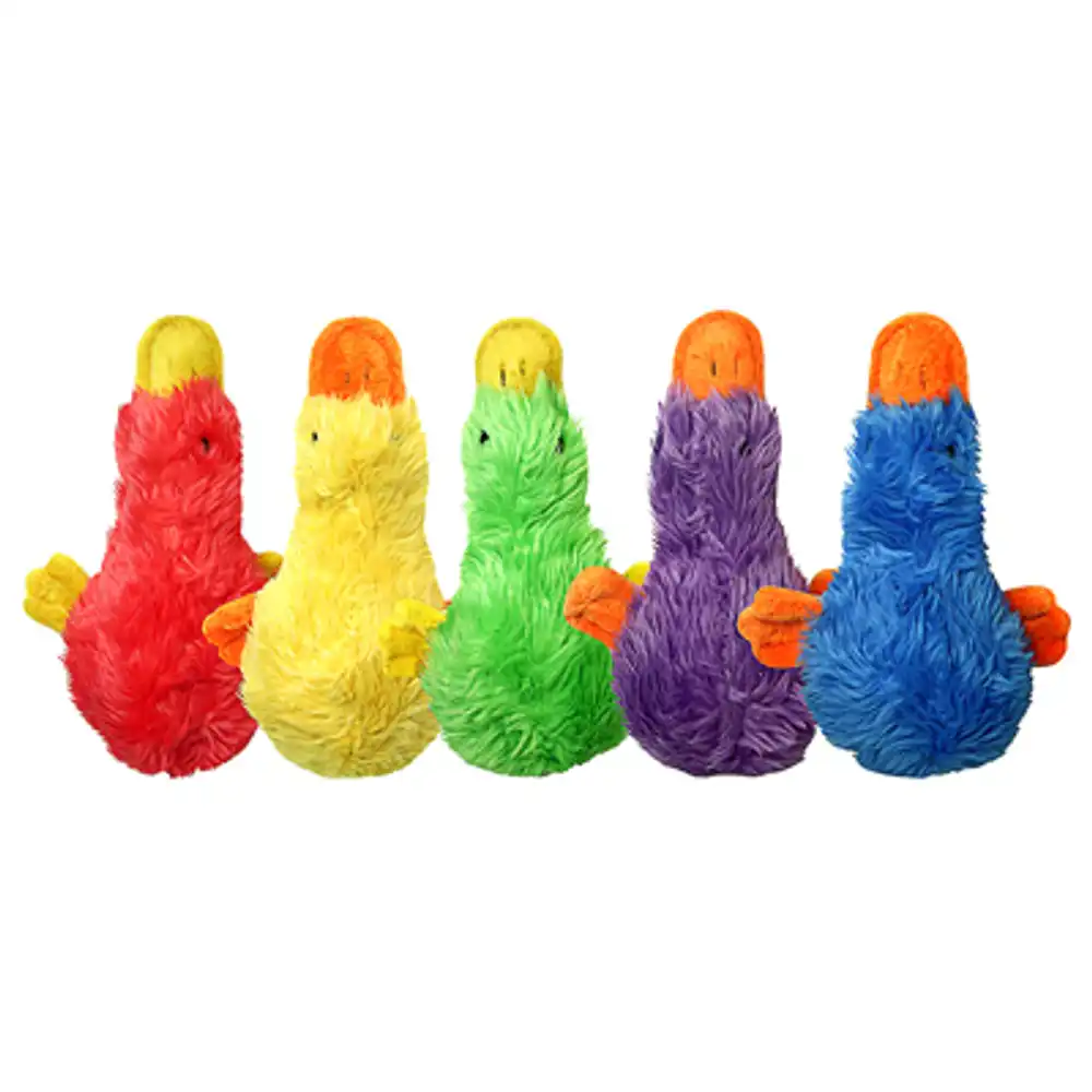 duckworth webster squeaky dog toy, 13 in.
