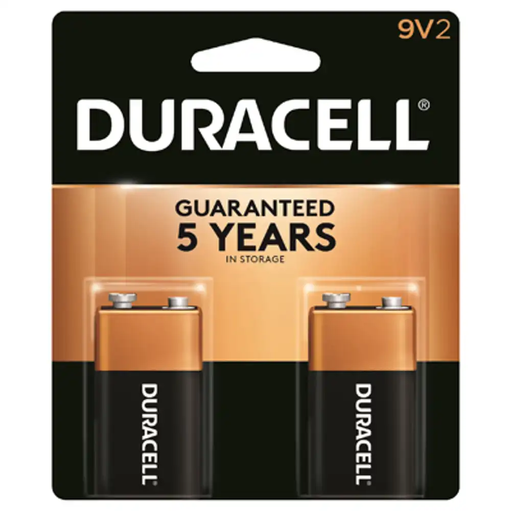 alkaline batteries, 9v, 2-pk.