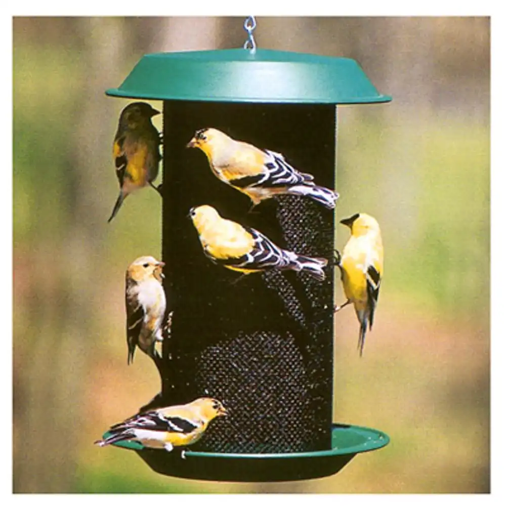 magnum nyjer thistle magnum feeder, 5-lb.