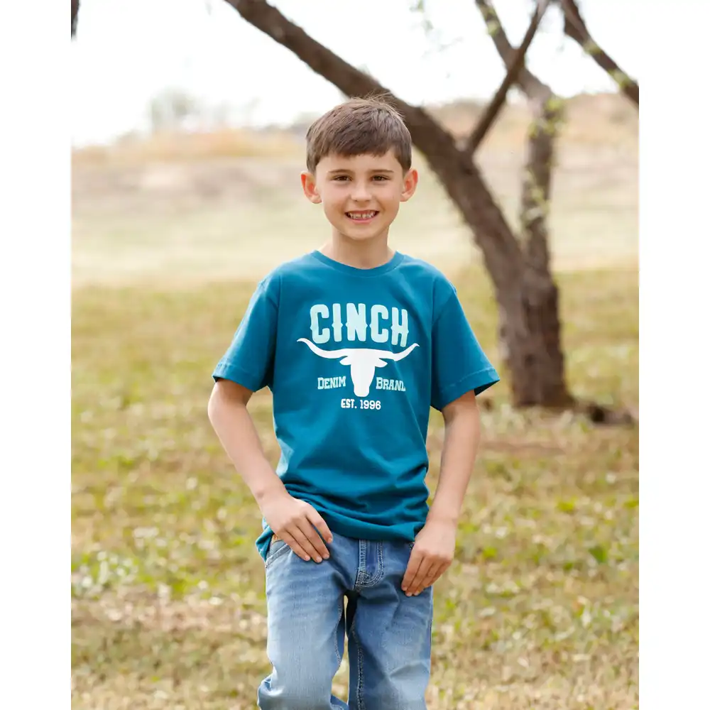 boy's tee shirt - blue