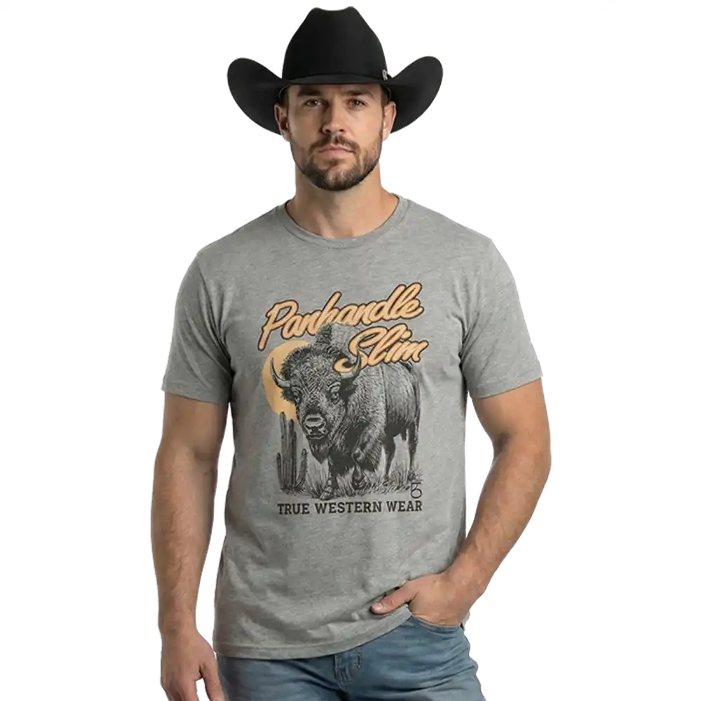 buffalo graphic t-shirt - grey