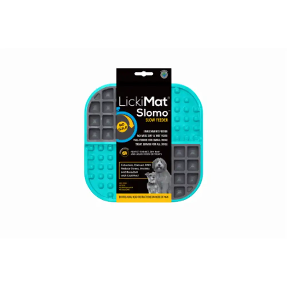 slo-mo dog feeder mat, turquoise