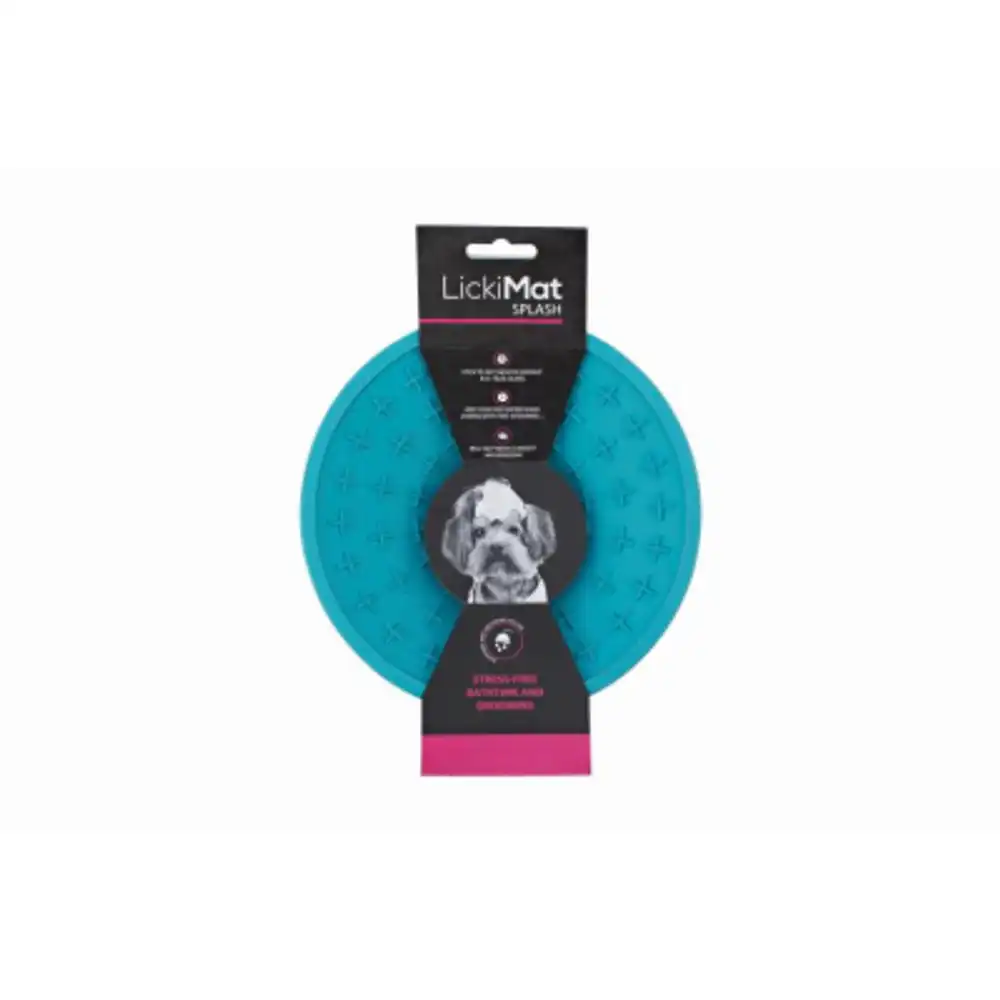 splash dog bowl, suction cup attachment, turquoise