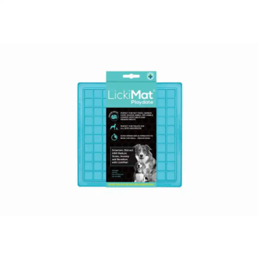 playdate dog feeder, turquoise