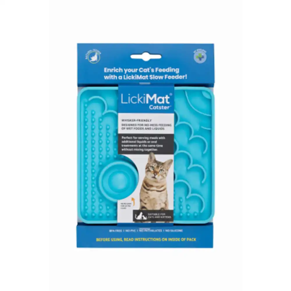 catster cat feeder, turquoise