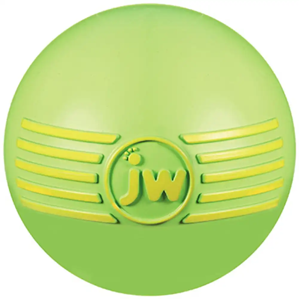 i-squeak ball dog toy, large