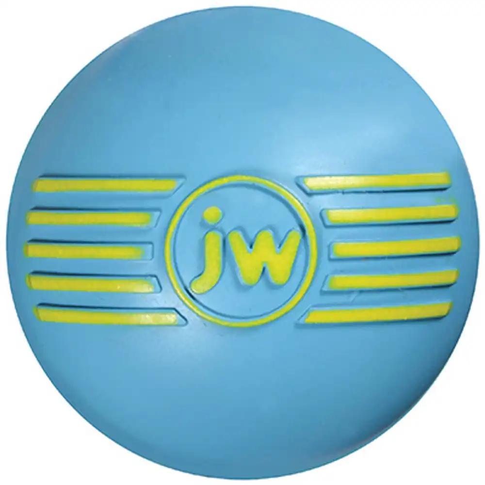 i-squeak bouncing ball dog toy