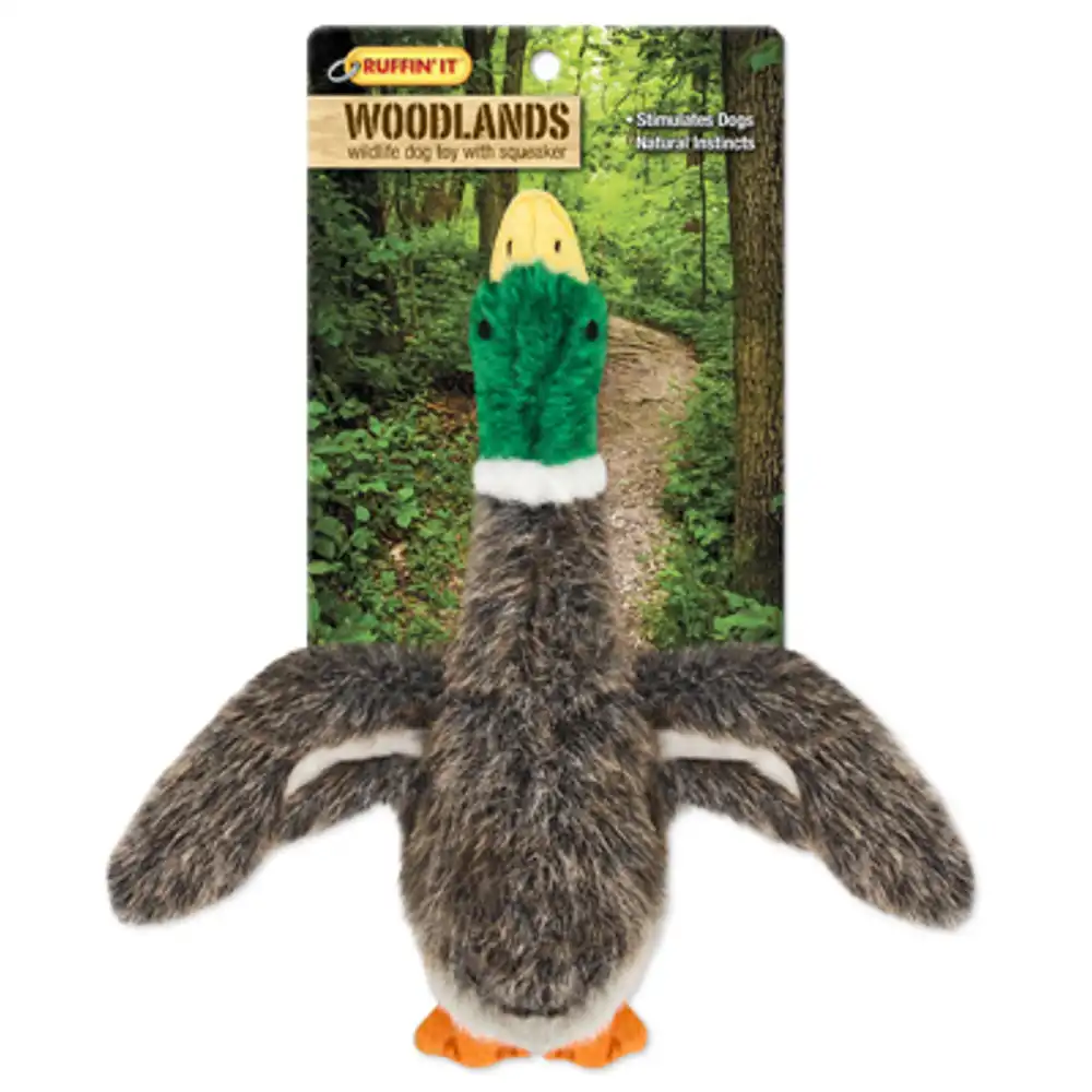dog toy, plush mallard duck, small