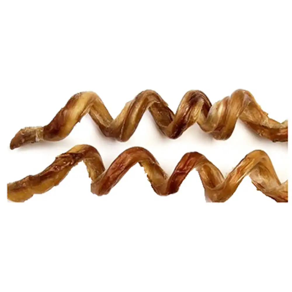 curly q steer pizzle dog treats, 6-8-in.