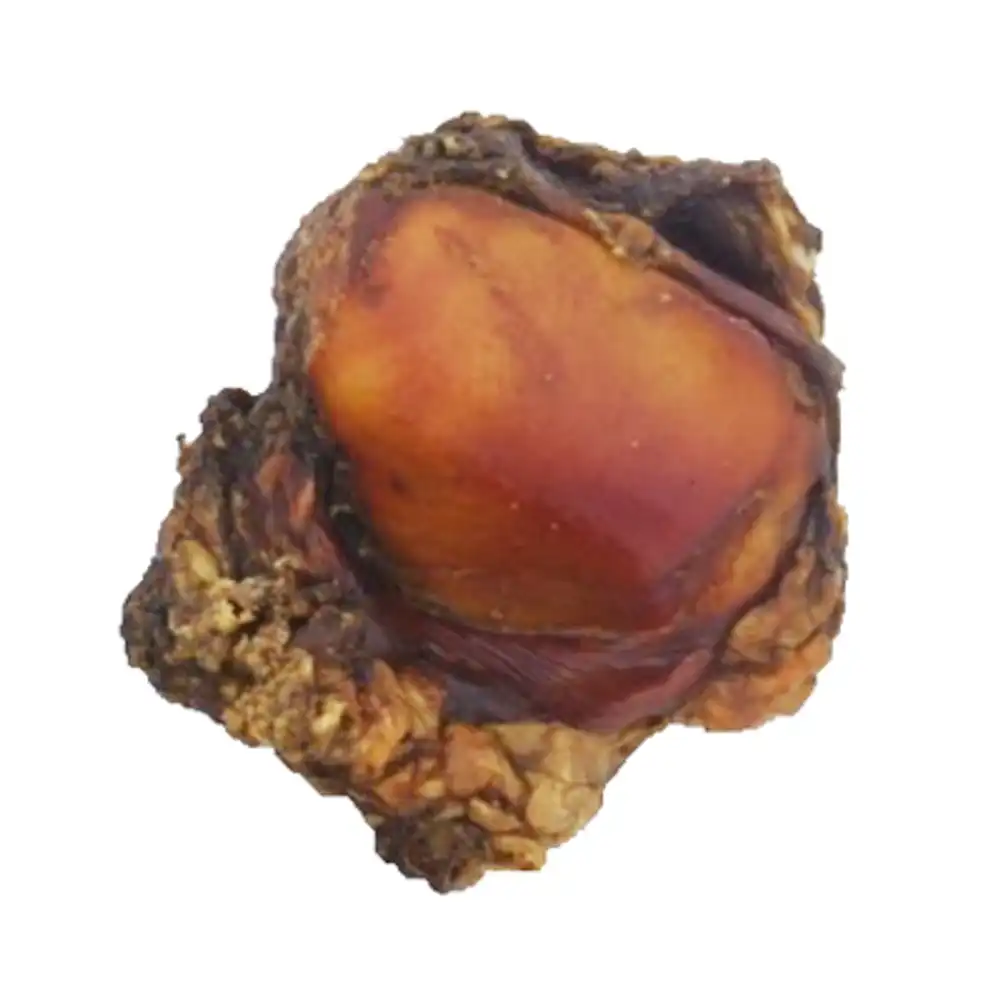 knee caps dog bone dog treat