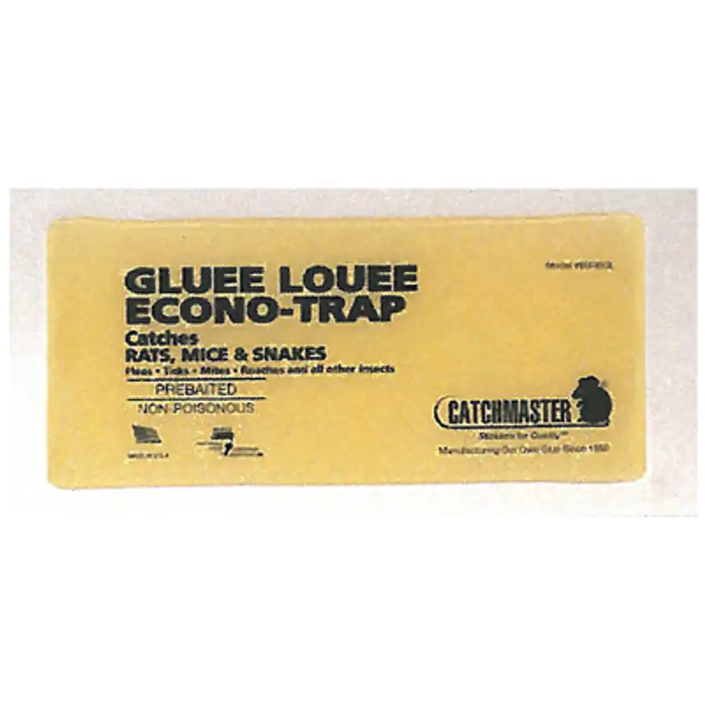rat glue board, baited