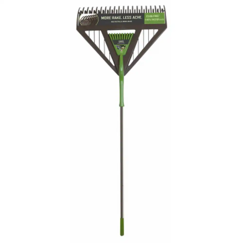 dual-tine leaf rake