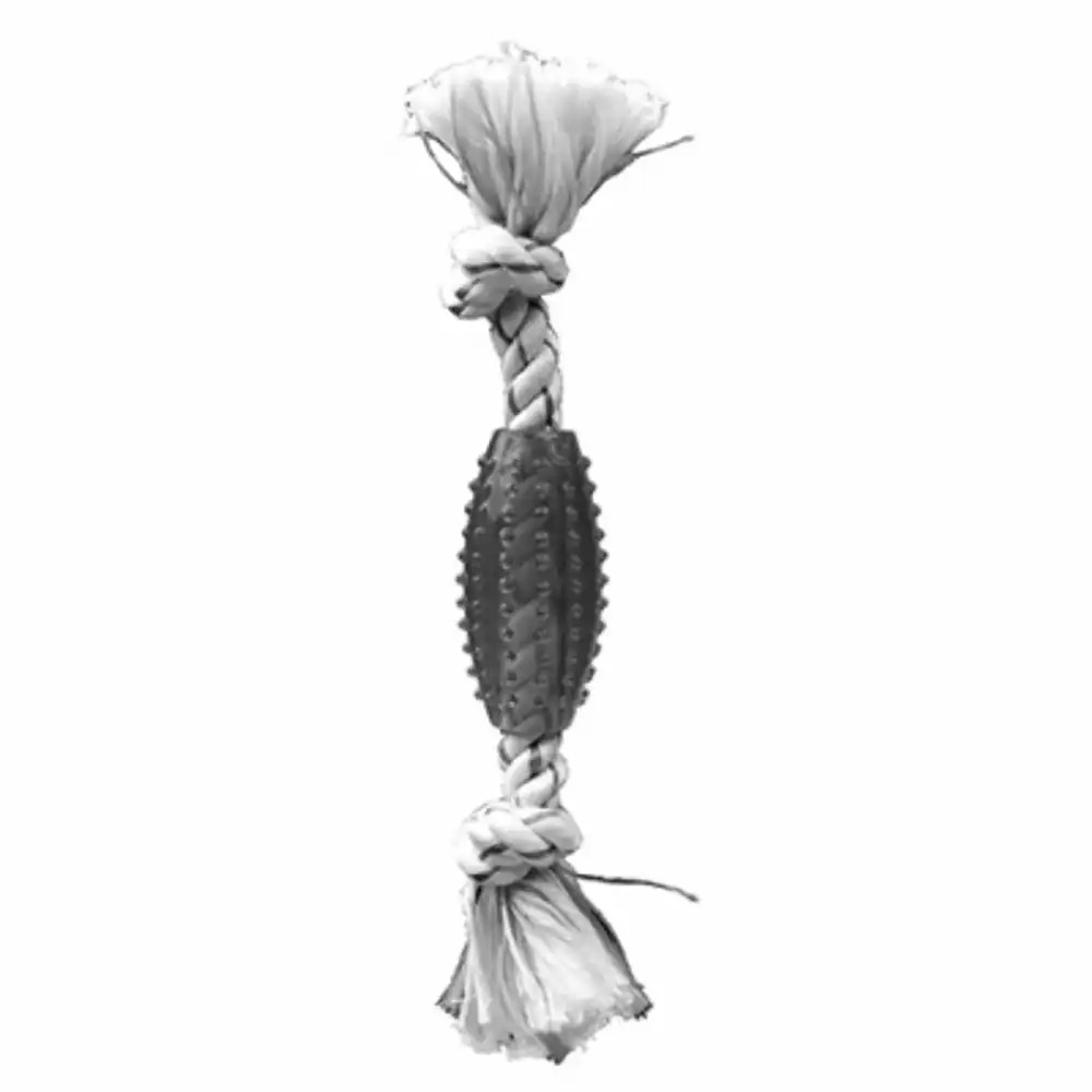 bone dental dog toy, peppermint, 6-in.