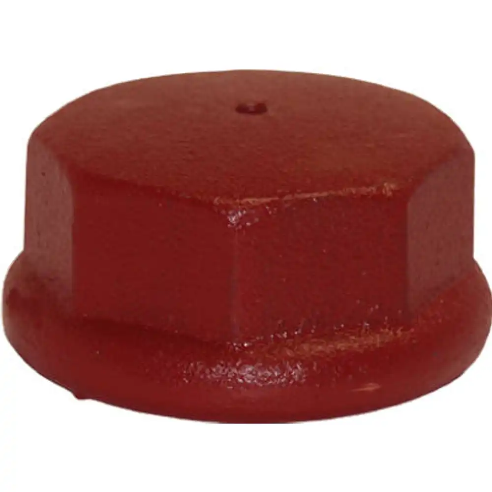 well point drive cap, cast iron, 2-in.