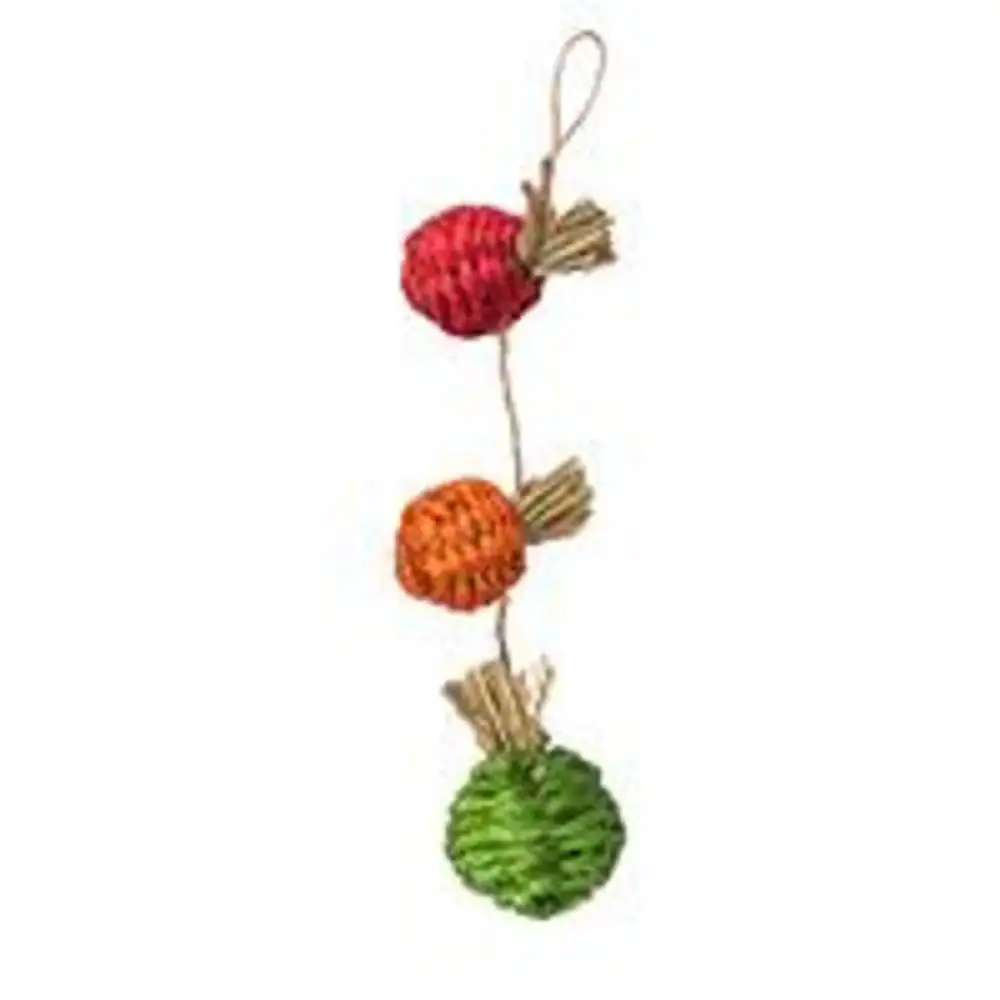 harvest chews, timothy hay & sisal, small animals, 3-pc.