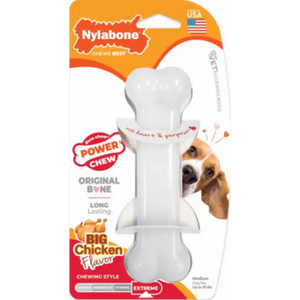 power chew durable dog toy, chicken flavor, medium, 1-ct.